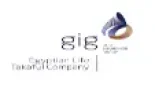 Partner 66