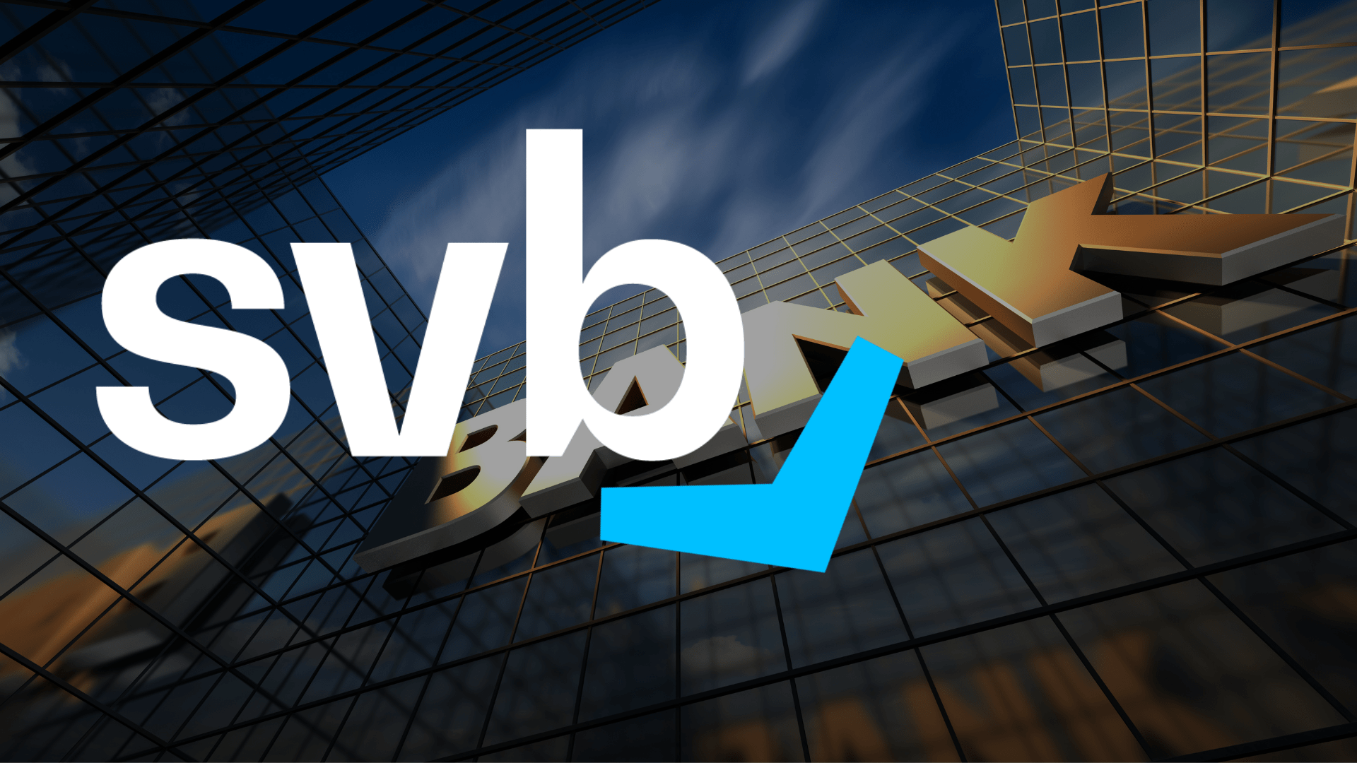 Silicon Valley Bank Collapse